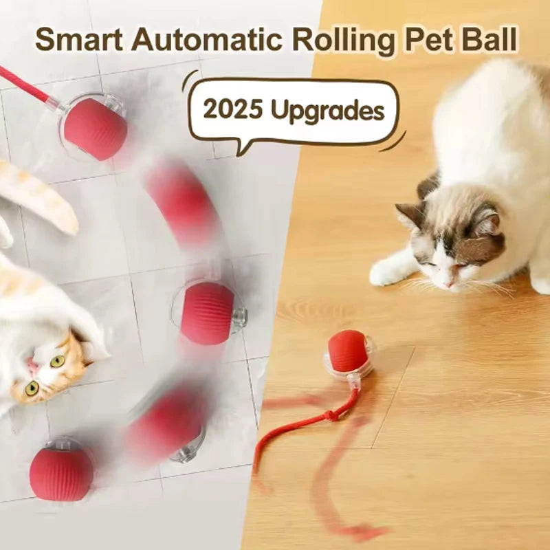 Self-satisfied cat toys that can be bitten by long-lasting smart cat balls automatically avoid pets with ropes and jump balls