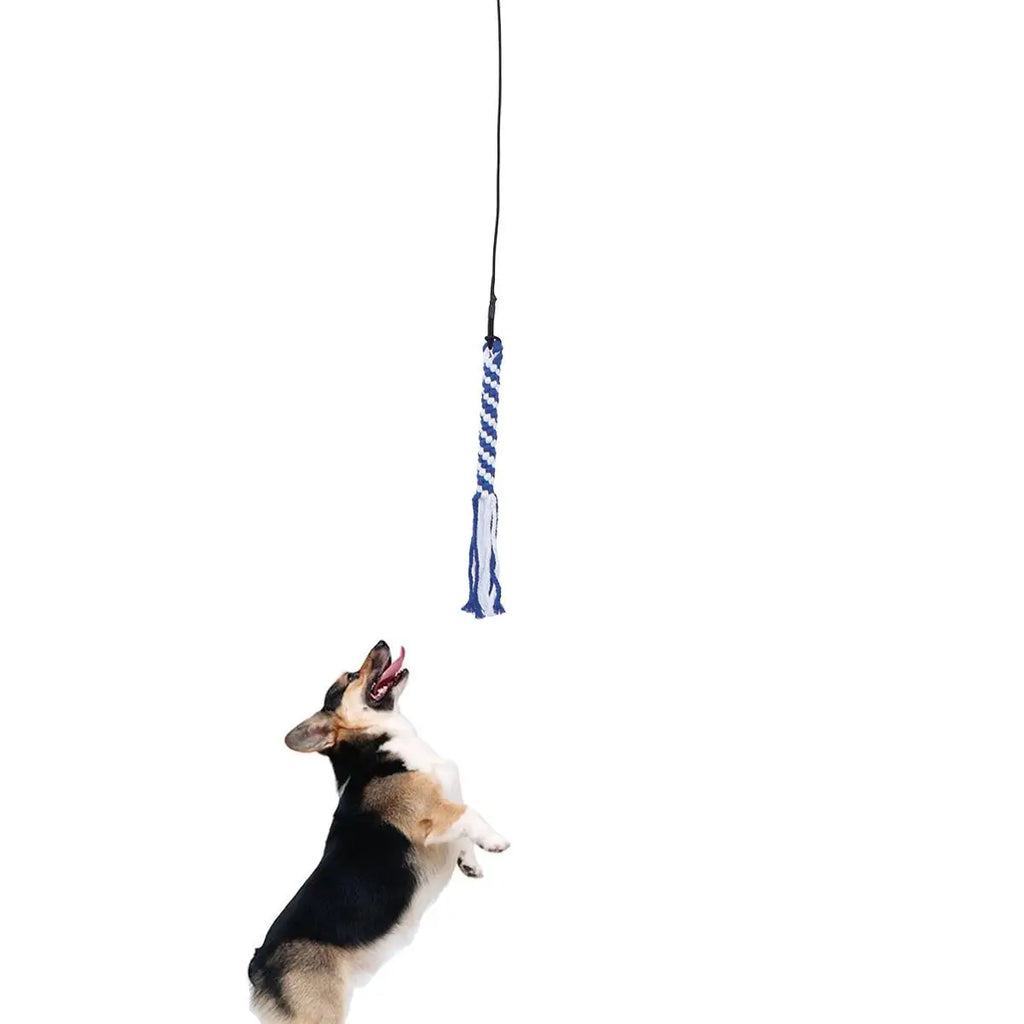 Interactive Dog Toys Extendable Flirt Pole Funny Chasing and Exerciser for Pets Size S (Black)
