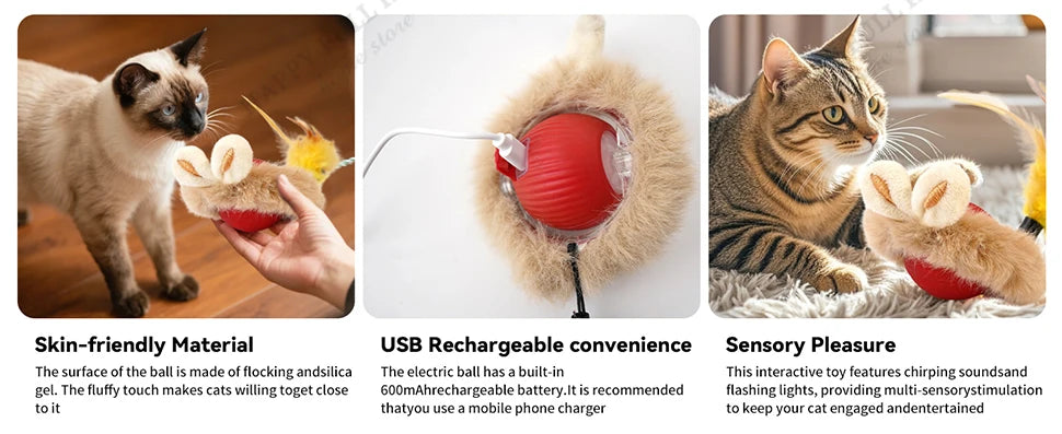 3 in 1 Cat Toy Interactive Ball for Indoor Cat  Game Toys, Cat Toys Electric, Automatic Cat Toy, Cat Toys Moving