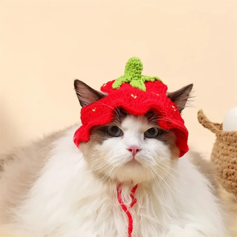 Cat Hats Elastic Cute Puppy Kittens Hat Headwear Photo Shoot Props Cat Accessories