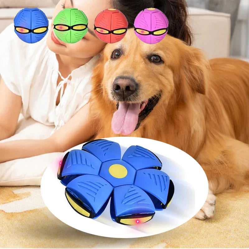 Pet Dog Toys Flying Saucer Ball Magic Deformation UFO TOYS Outdoor Sports Dogs Training Equipment Dog's Play Flying DISC