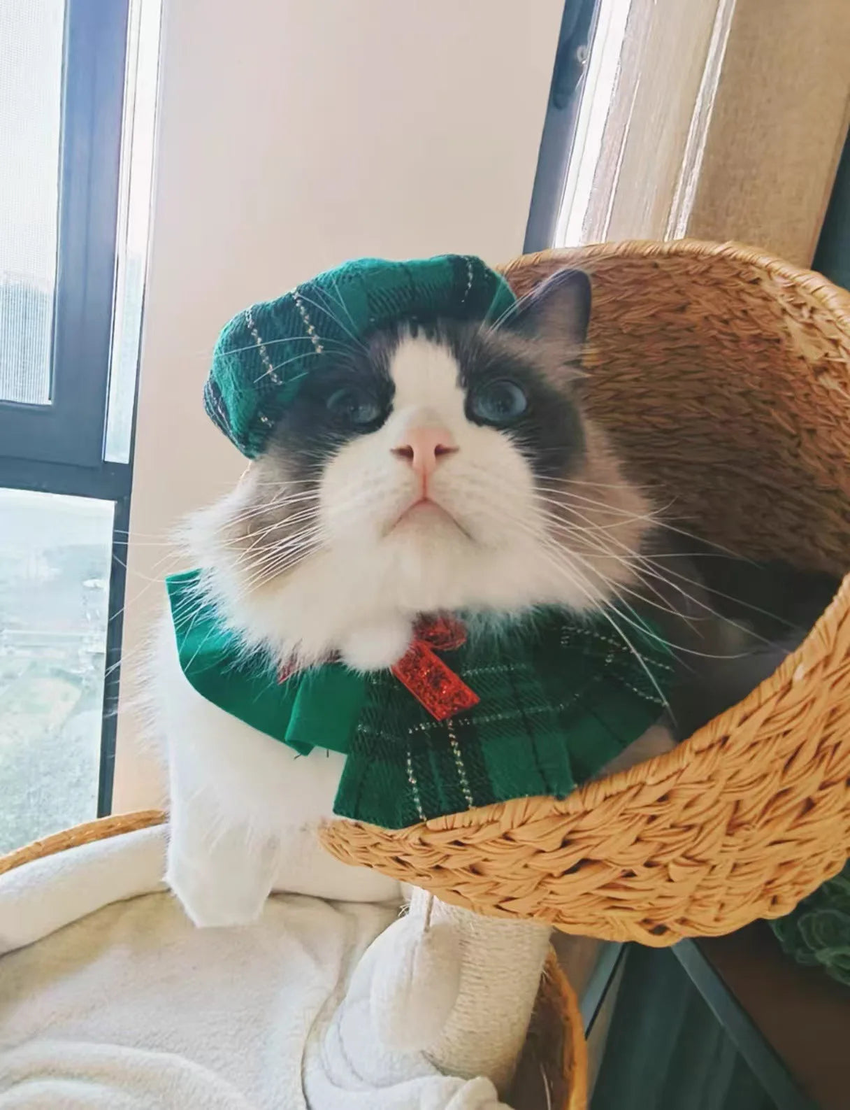 Pet Christmas Cat Dog Octagonal Hat Cute Plaid Shawl Dog Collar Bib Set Pet Decoration Dog Accessories for Small Dogs Puppy