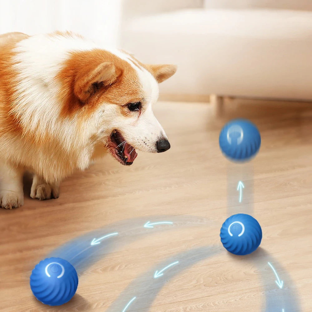 Smart Dog Toy Ball Electric Automatic Moving Bouncing Rolling Ball USB Charging Dog Toys for Puppy Birthday Gift Dog Accessories