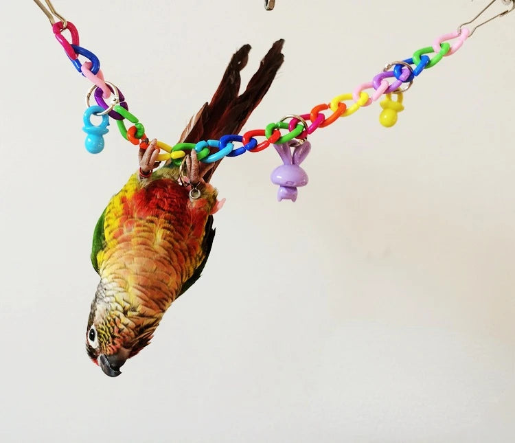 Big Parrot Pet Supplies Toy Parrot Toys Colorful Acrylic Bridge Cage Bird Funny Hanging Accessories Swing Toy Chain Exercise 앵무새
