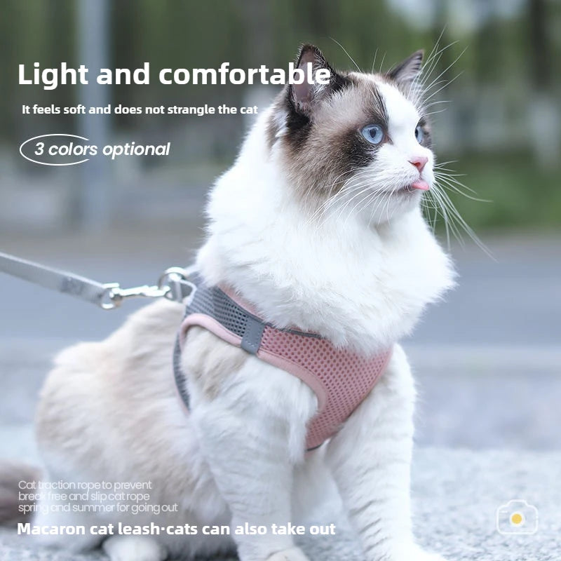 Pet Things Cat Accessories Cute Adjustable Cat Collar and Leash Set for Walking Safe Reflective Soft Comfortable Vest
