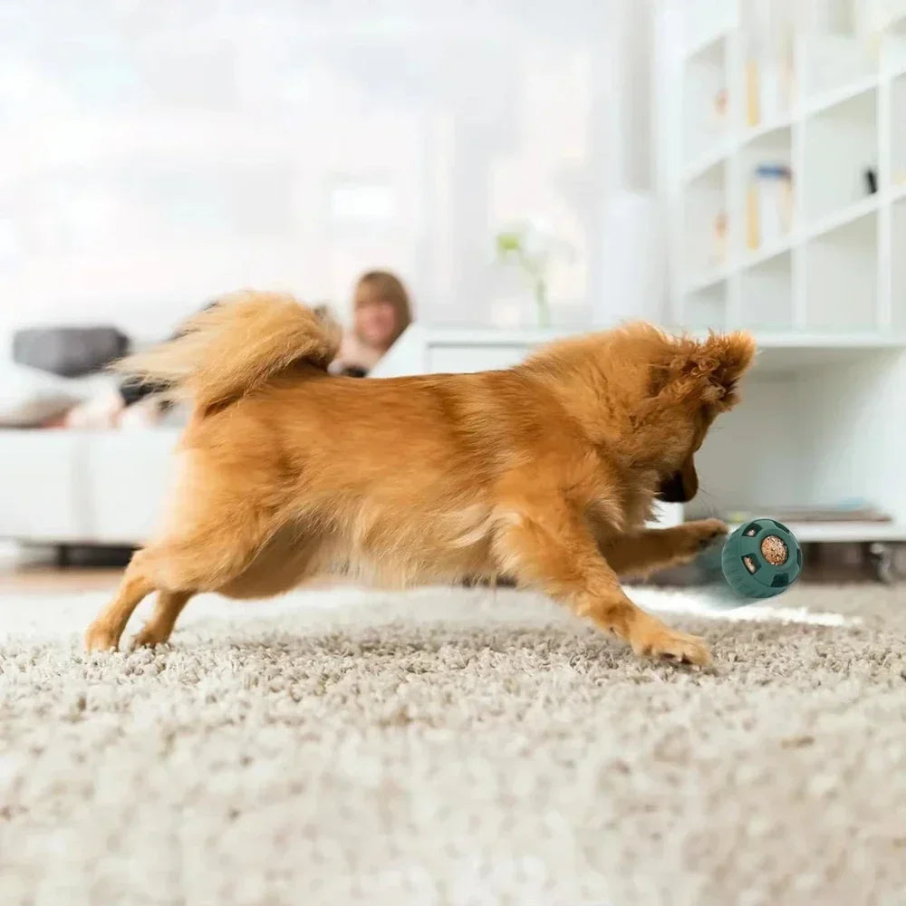 Treat Tray For Pupsicle Silicone Mold for Dog Treats Reusable Long-lasting Interactive Dog Toys For Boredom Dog's Birthday Gift