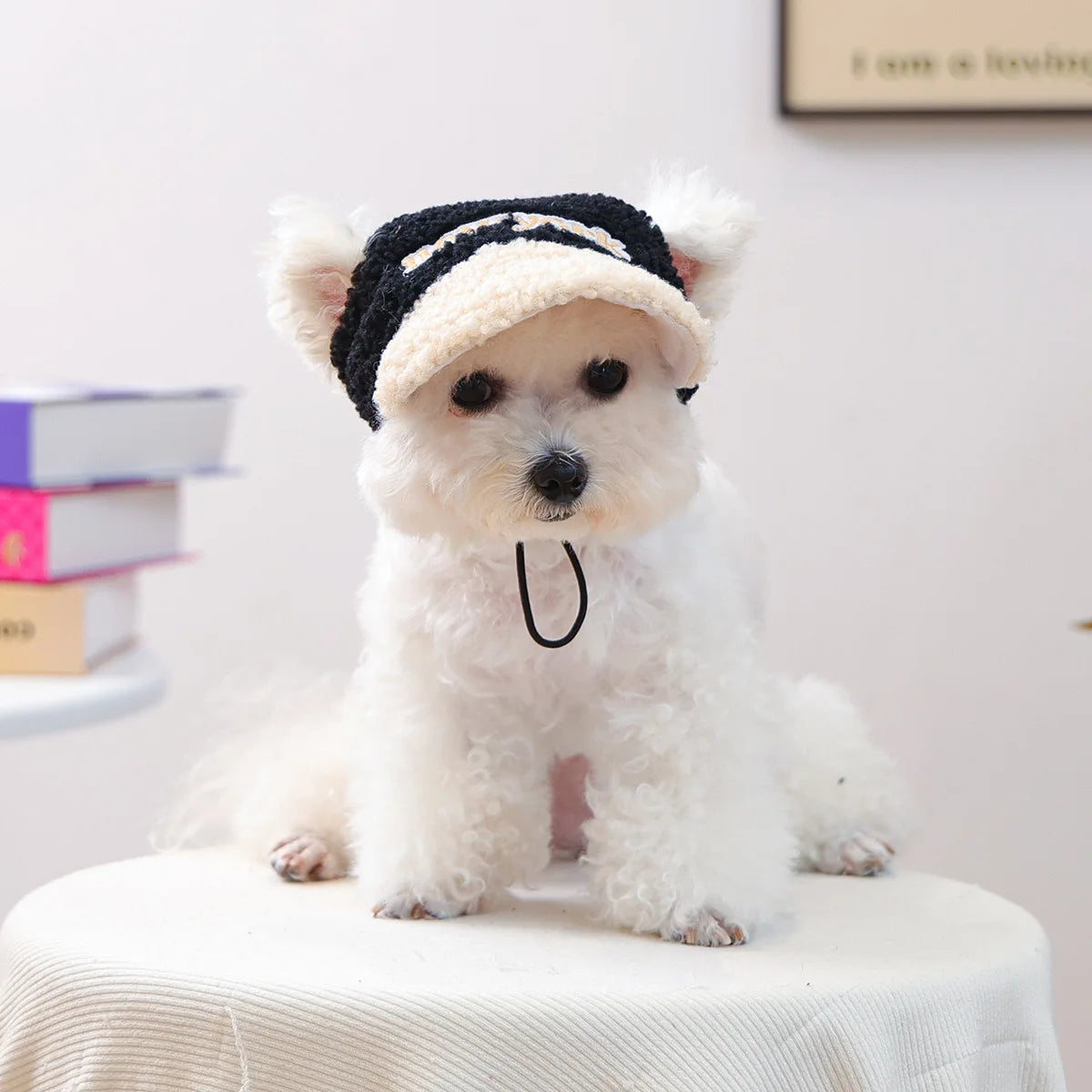 Pet Lamb Fleece Warm Hat Cat Small Dog Outdoor Leisure Embroidery Baseball Hat Dog Accessories for Small Dogs