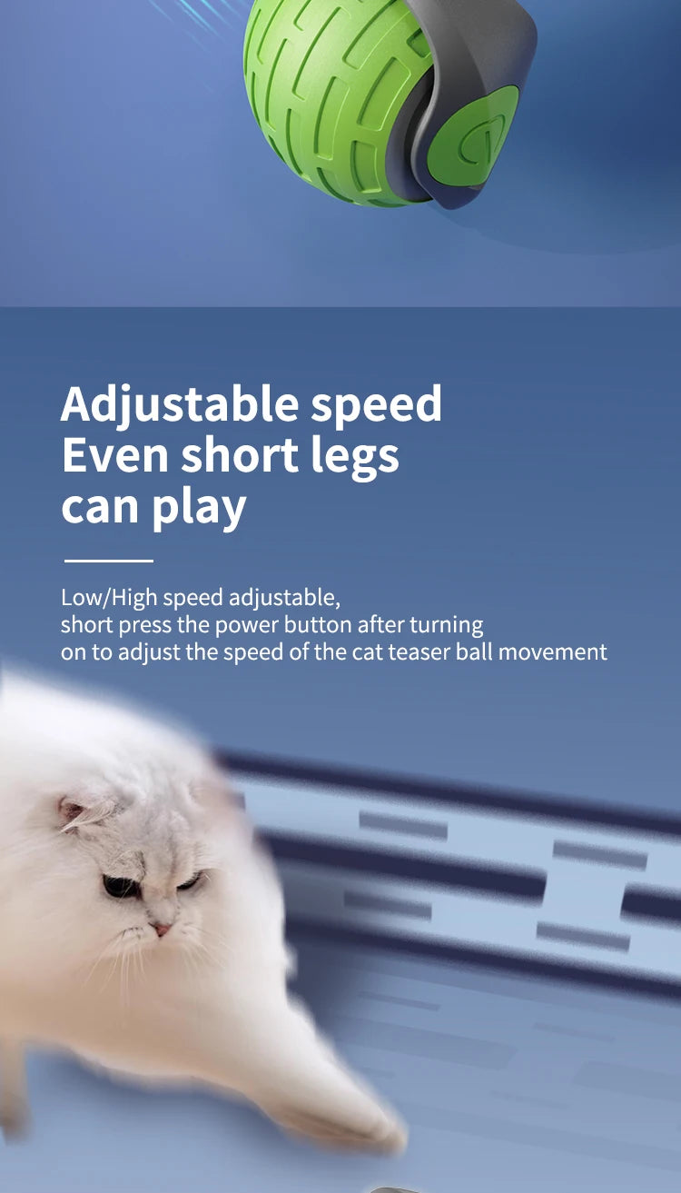 Speedy Tail 2.0 Automatic Cat Toy Ball, Interactive Moving Tail for Indoor Cats/Dogs with Replaceable Tail, Smart Pet Play