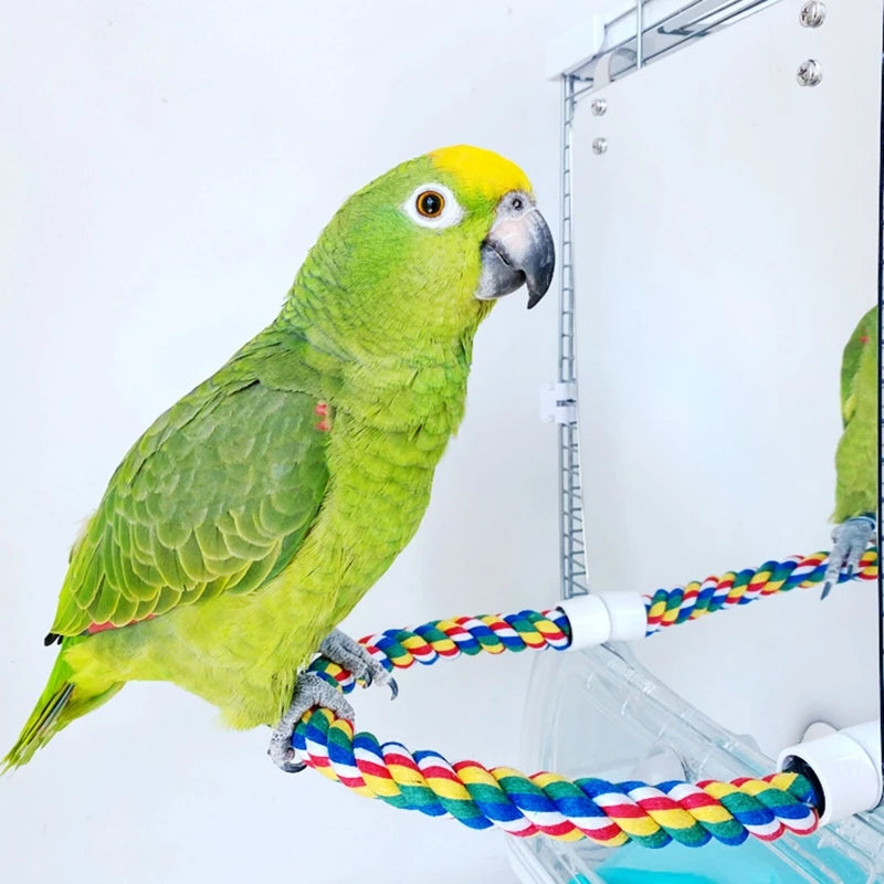 Acrylic Bird Mirror with Rope Perches Bird Toys Lovebirds Finch Canaries Swing Comfy Perch for Parakeet Cockatiel Conure
