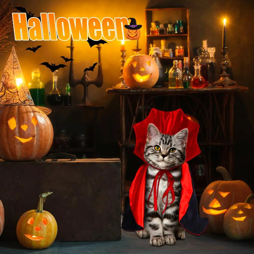 Cute Halloween Pet Costumes Cosplay Vampire Cloak For Small Dog Cat Kitten Puppy Dress Kawaii Pet Clothes Cat Accessories Gift