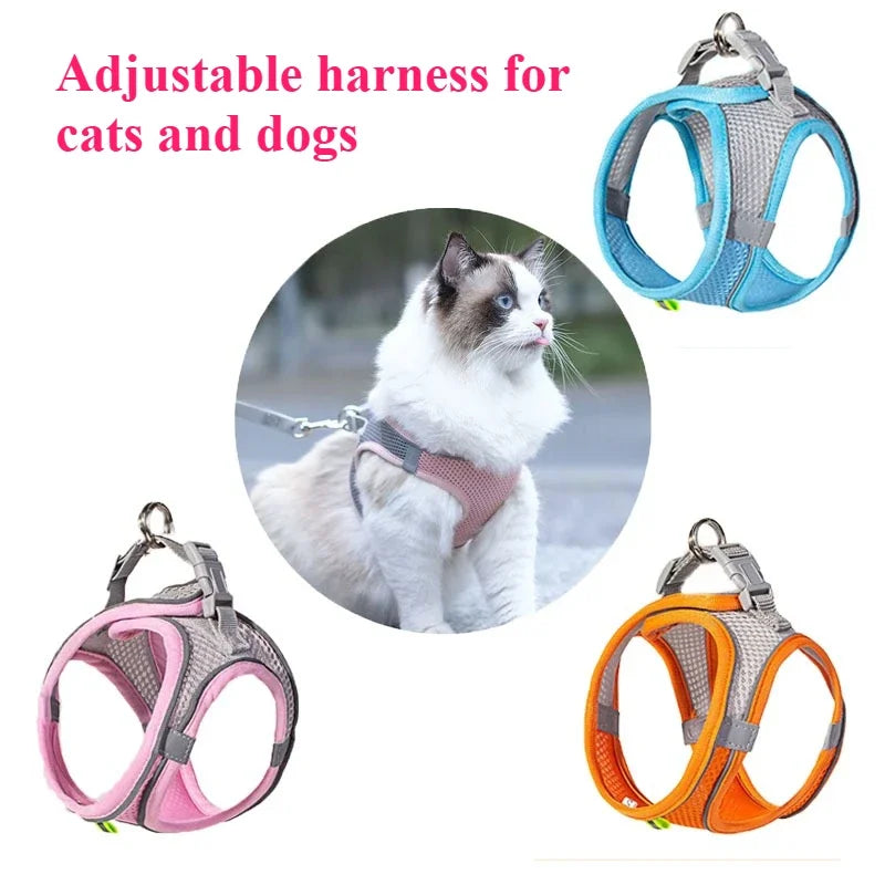 Indestructible Cat Dog Toys for Aggressive Chewers Cats Dogs,Chew Squeak Toy Cats Dogs Interactive Plush Doll Pet Products