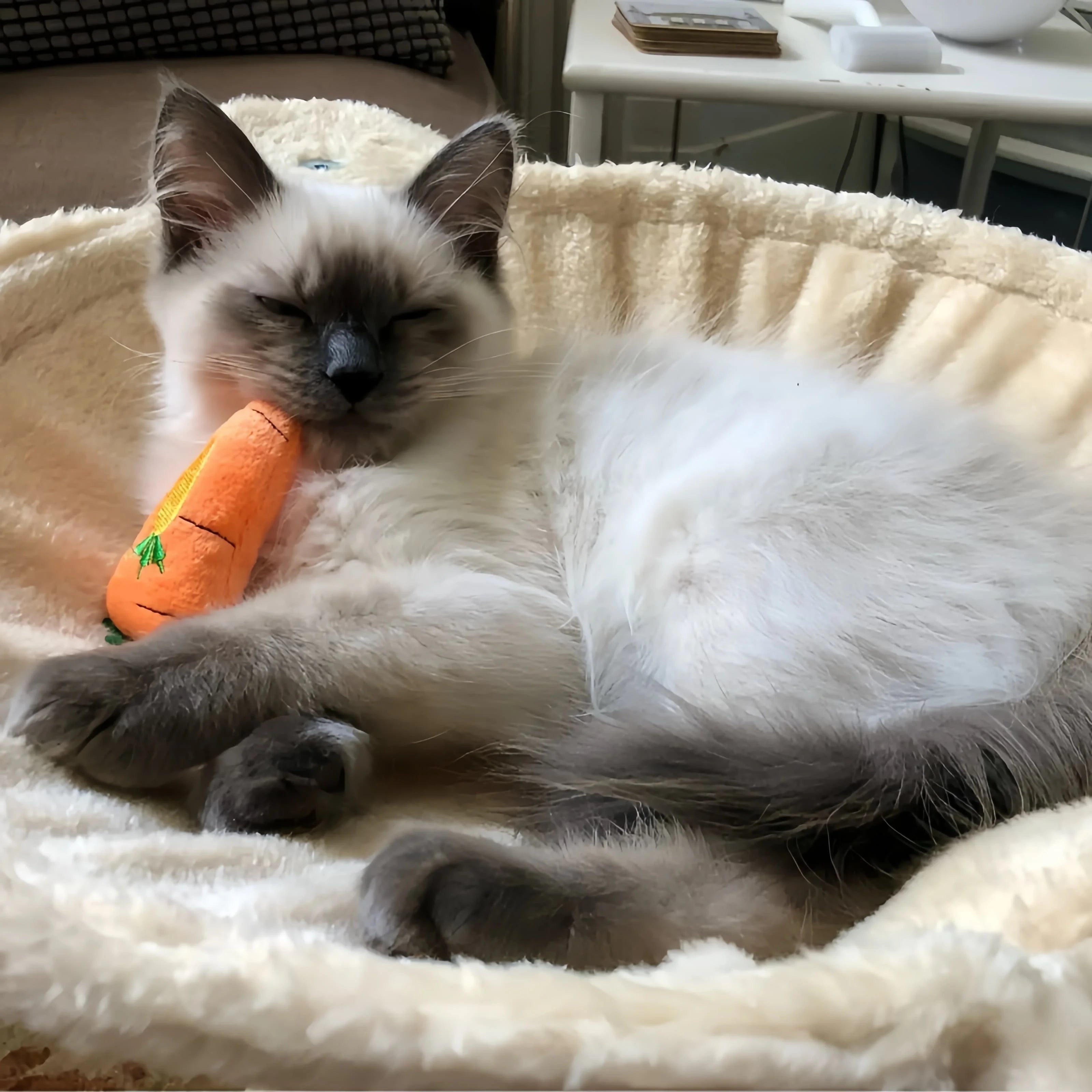 Pet Cute Plush Toy Set Cat Toy With Catmint Kitten Catnip Toy With Scent Cat Mini Catnip Toy Chewing Teeth Grinding Pet Supplies