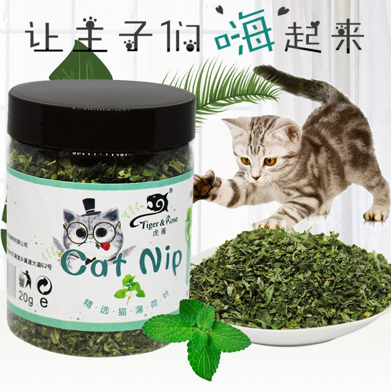 Organic 100% Natural High Quality Catnip Cattle Grass Mint Taste Funny Cat Toy New Cat Toy Interactive Cat Toys Pet Supplies