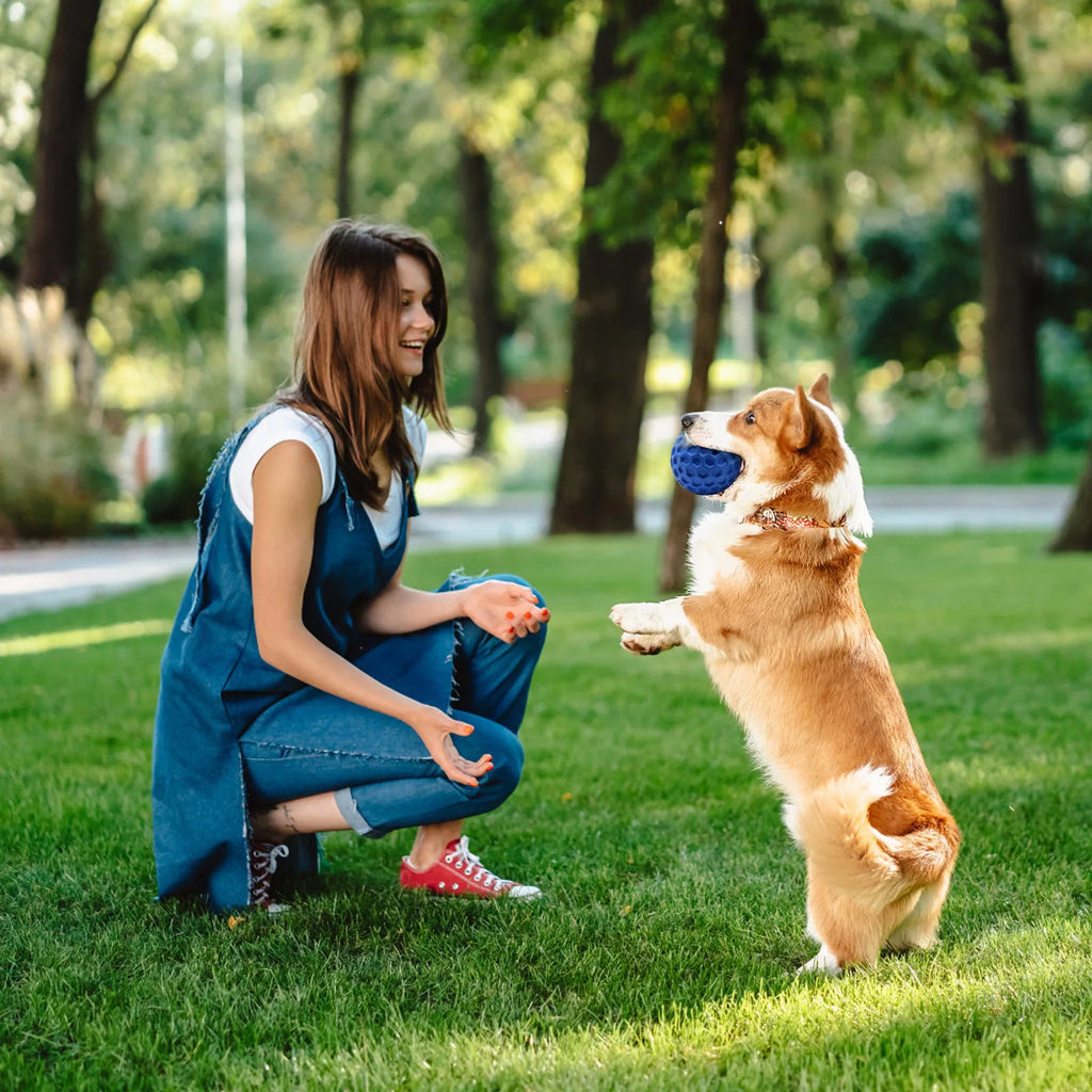 55/65mm Squeaky Dog Toys For Aggressive Chewers, Indestructible Dog Balls For Aggressive Chewers, Squeaky Balls For Dogs