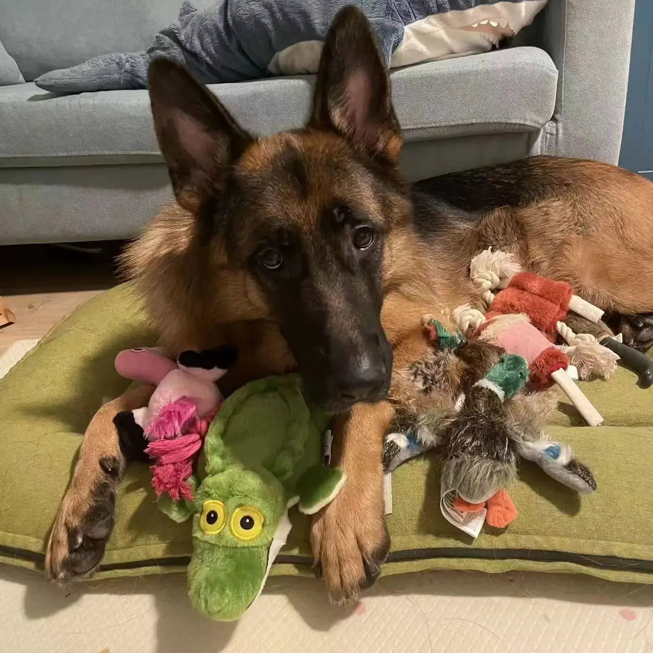 Plush Squeaky Dog Toys Crazy Zoo Plush Sound Toys Human Pet Interactive Tug of War Knot Bite-resistant Pet Toys Outdoor Funny