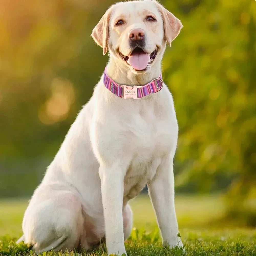 Customized Name Number Dog Collar Bohemian Stripe Plaid Pet Traction Rope Ethnic Pet Collars with Buckle Dog Accessories