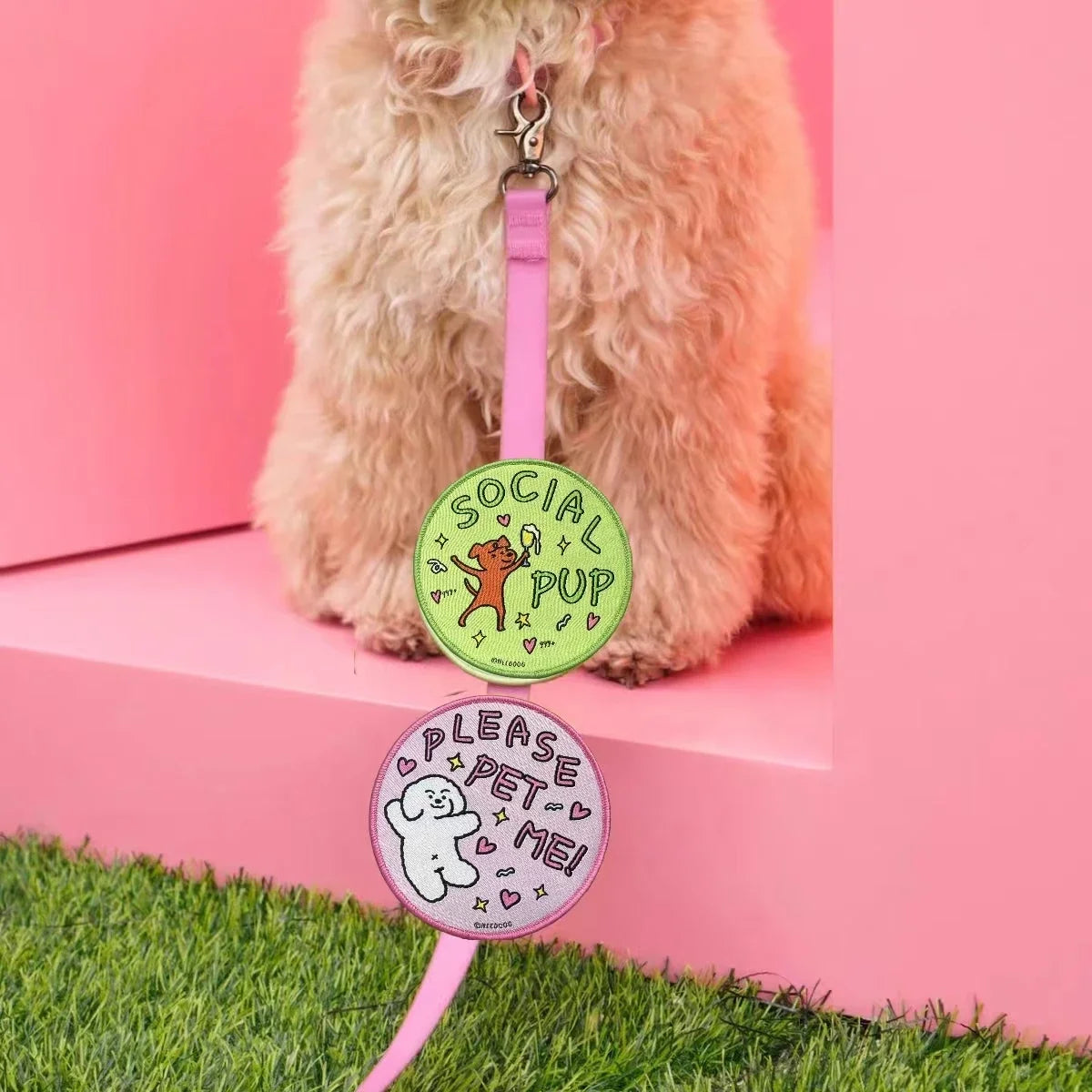 Dog Accessories Leash Chest and Back Pet Character Social Stickers Velcro Signage Warning Signs Personalized Logo Decoration