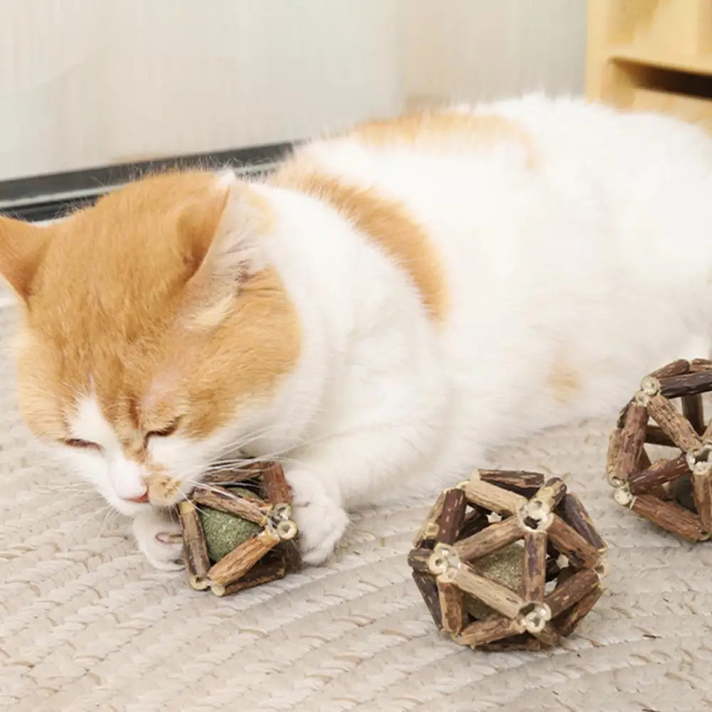 Catnip Silvervine Cat Toys Plaque Tartar Elimination Toys Natural Catnip Silvervine Ball Toy Set for Dental for Indoor for Teeth