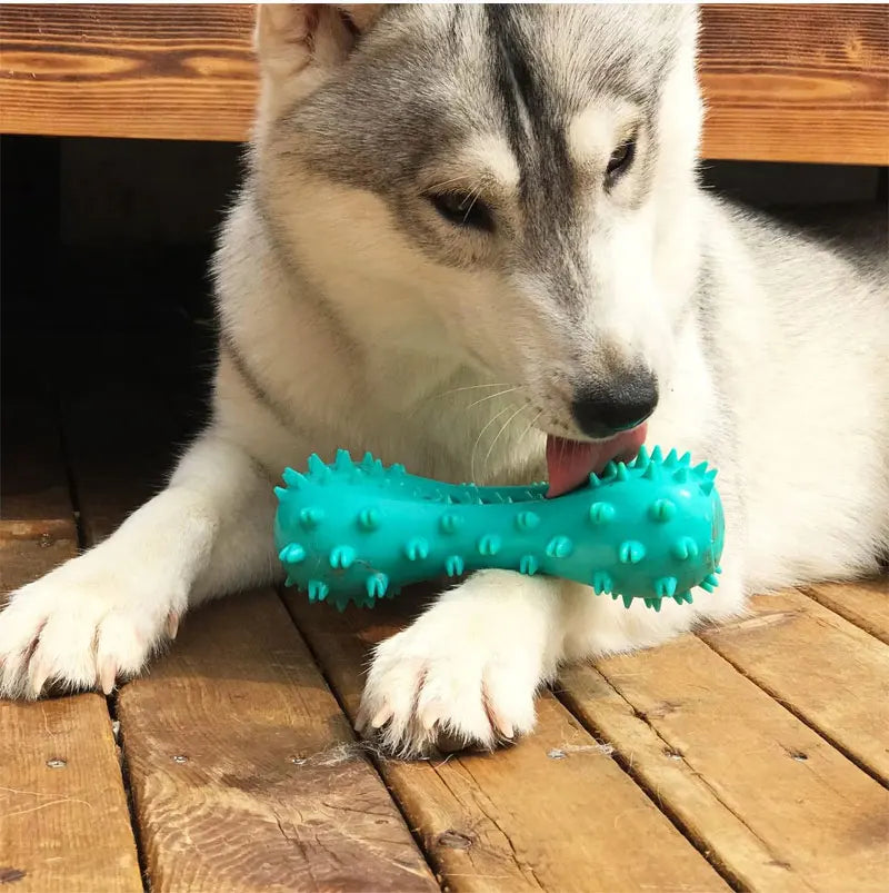 Rubber Dog Chew Toy Teeth Cleaning Pet Toothbrush Chewing Stick Toys for Dog Chew Toy Elasticity Soft Pet Tooth Cleaning