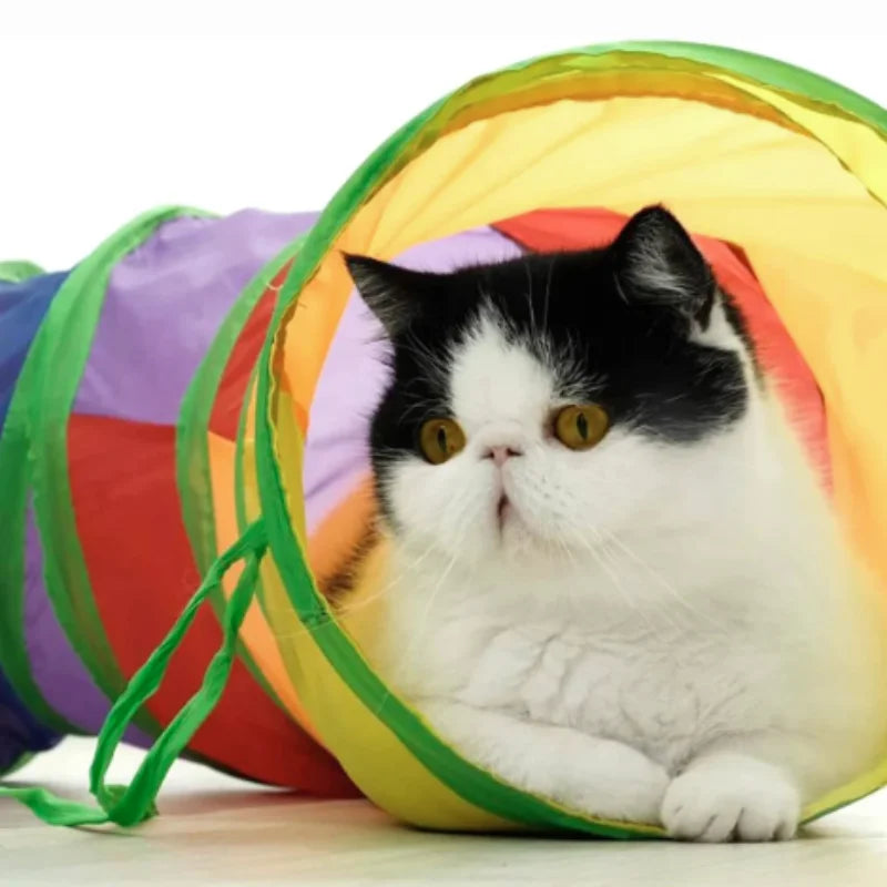 Hot Cat Tunnel Pet Tube Collapsible Play Toy Indoor Outdoor Kitty Puppy Toys for Puzzle Exercising Hiding Training Pet Toys