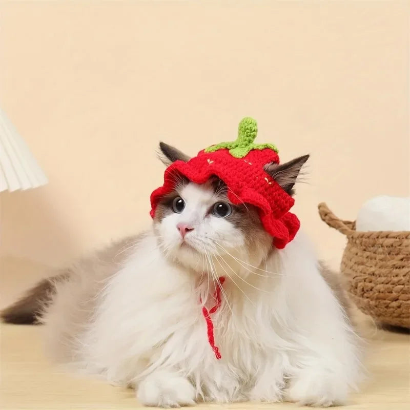 Cat Hats Elastic Cute Puppy Kittens Hat Headwear Photo Shoot Props Cat Accessories