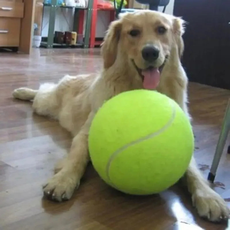 7/9.5Inch Giant Tennis Ball Pet Inflatable Toy for Dog Training Ball 24cm Large Tennis Ball with Air Pump Interactive Dog Toys