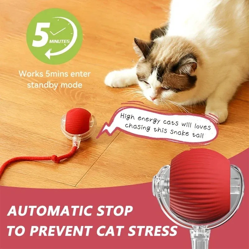 Interactive Toy for Cats Toy Automatic Rolling Ball Cat Accessories Rolling Ball Magic Ball Toys for Cat Training Imitate Mouse