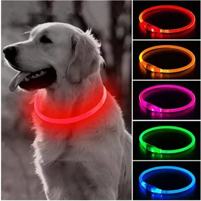 Led Dog Collar Luminous Usb Cat Dog Collar 3 Modes Led Light Glowing Loss Prevention LED Collar for Dog Pet Dog Accessories