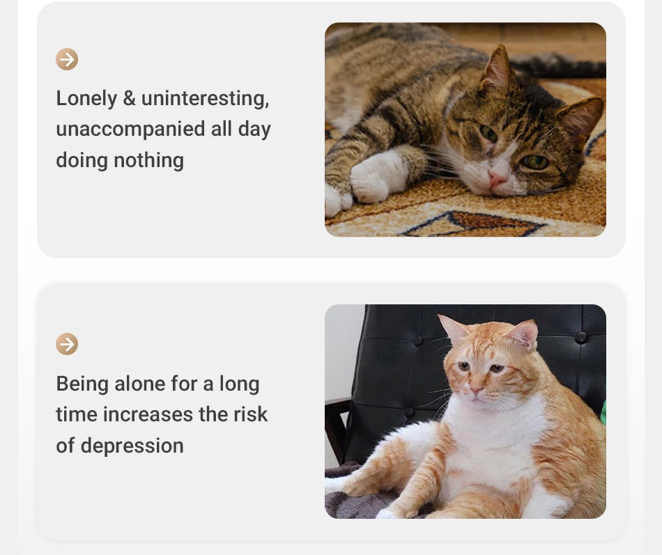 ROJECO Automatic Cat Toy Interactive Adjustable Mode Electric Cat Laser Toy For Kitty Dog Indoor Smart Teasing Laser Cat Toys