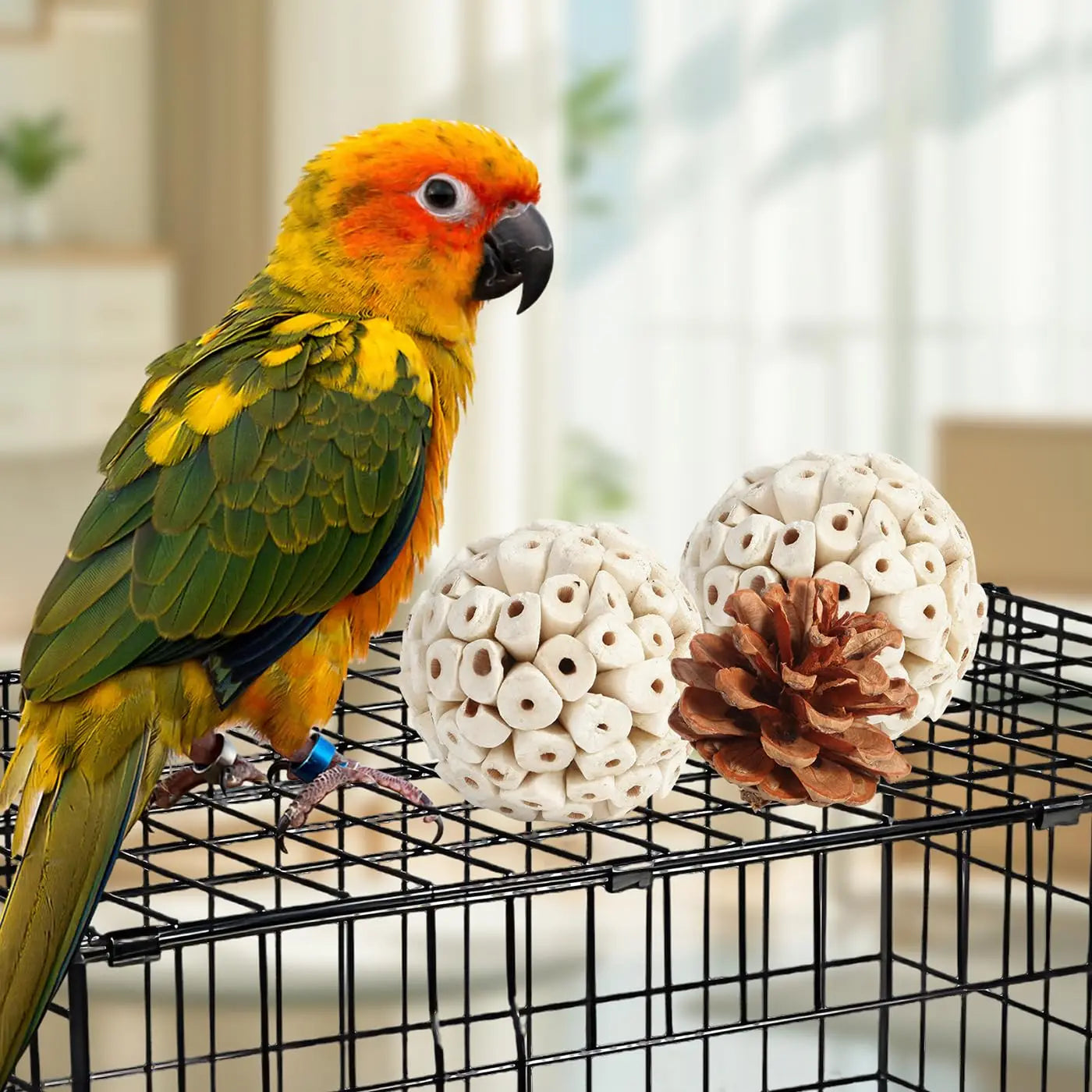 Bird Toys Parrot Natural Bird Foraging Box Foot Toys for Parakeets,Cockatiels,Conures,Love Birds,and Other Small to Medium Birds