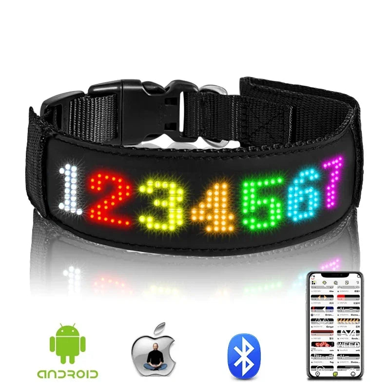 2025 Pet Dog Collar LED Night Safety Multilingual Flashing Glow In The Dark Leash Luminous Adjustable dog accessories collar Usb