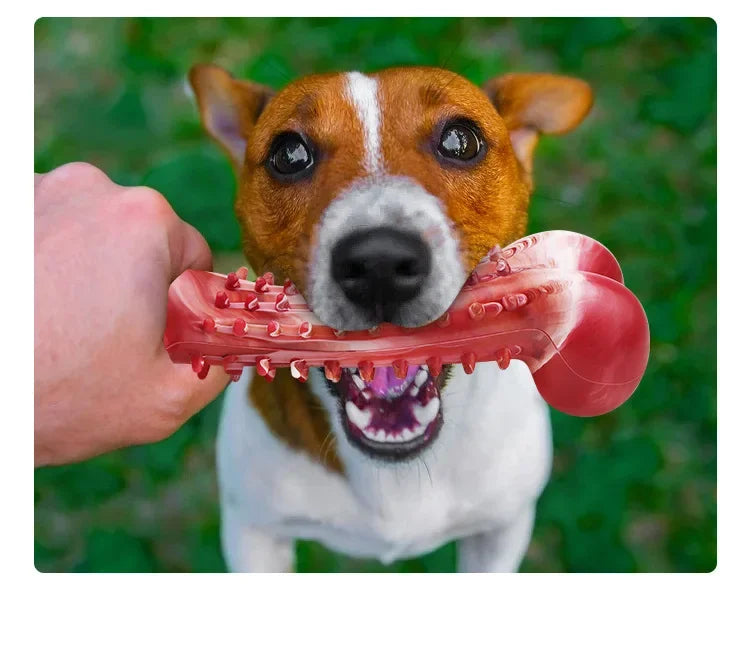 Dog Toys Teeth Sharpening Cleaning Dog Bones Natural Rubber Training Stiff Durable Chew Toys for Medium Large Dogs Pets Supplies