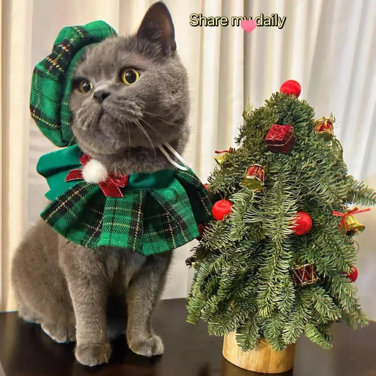 Pet Christmas Cat Dog Octagonal Hat Cute Plaid Shawl Dog Collar Bib Set Pet Decoration Dog Accessories for Small Dogs Puppy