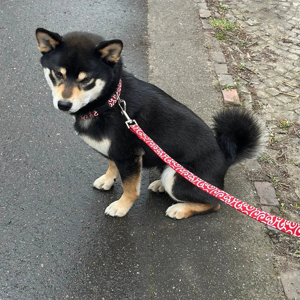 Medium to Large Dog Collar Free Engraving Pet Necklace Dog Accessories Comfortable Wearable ID Tag for Your Four-Legged Friend