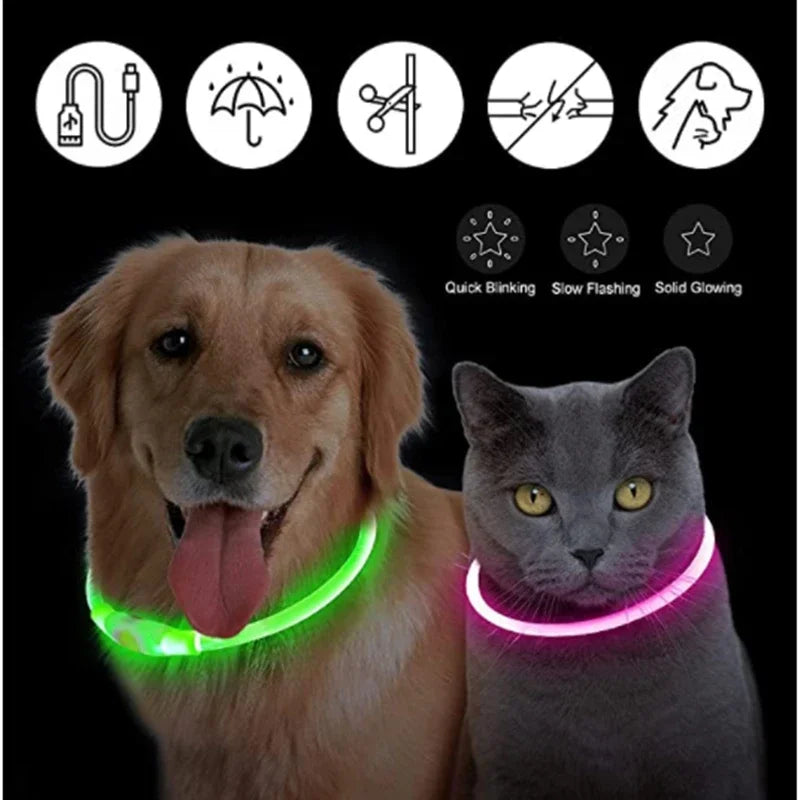 LED Pet Dog Luminous Collar With USB Rechargeable Dog Necklace Collar Teddy Anti Lost Collar Dog Cat Accessories Supplies