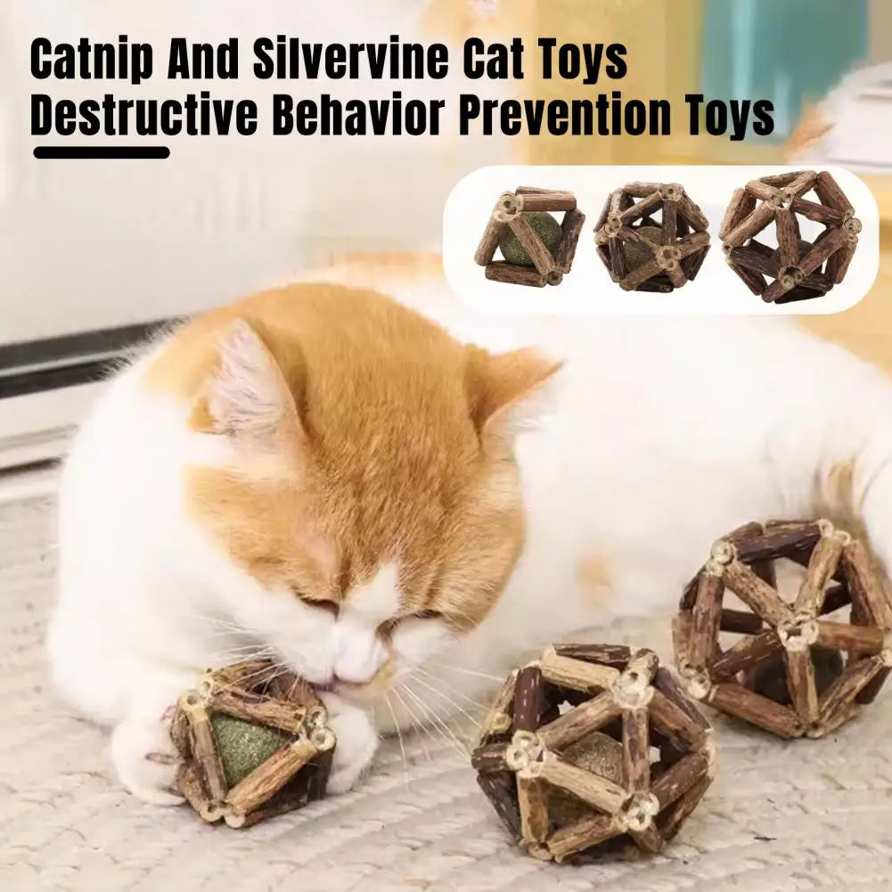Catnip Silvervine Cat Toys Plaque Tartar Elimination Toys Natural Catnip Silvervine Ball Toy Set for Dental for Indoor for Teeth