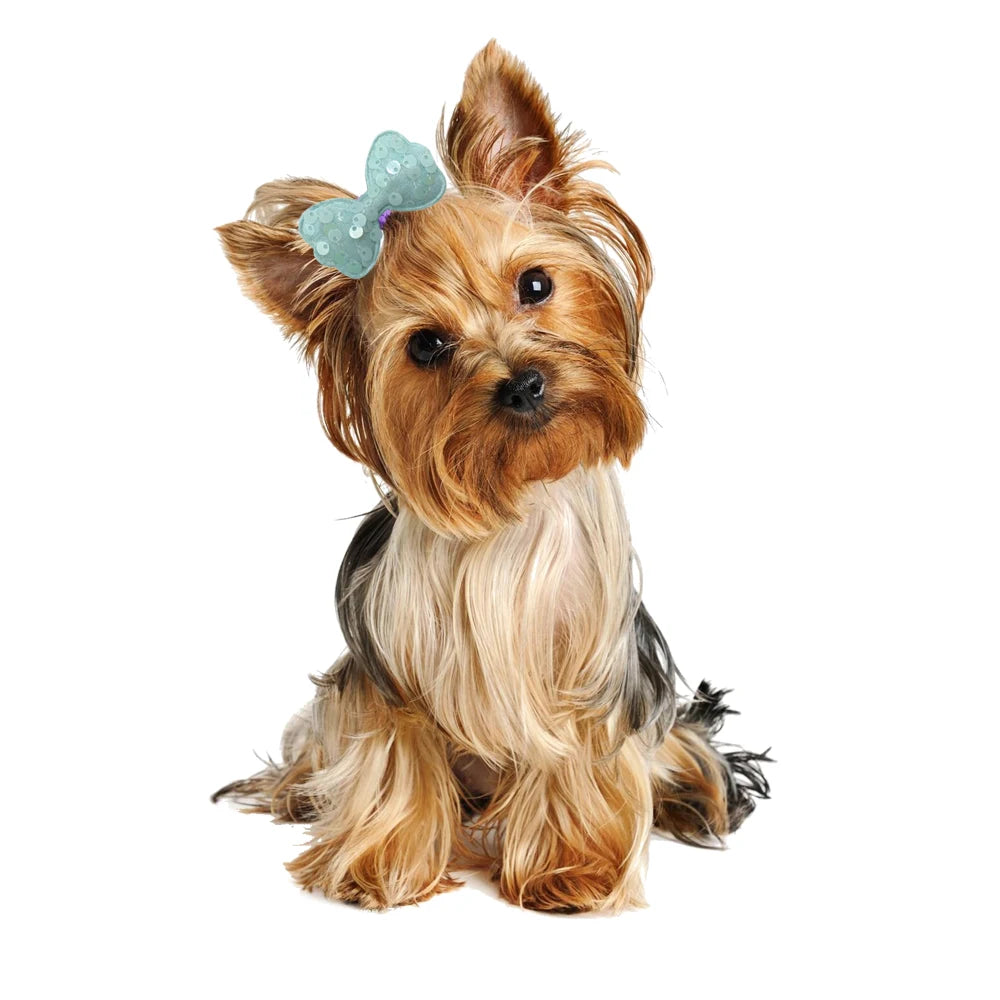 50/100pcs Sequins Style Dog Bowknot Hair Bows Decorate Bows with Rubber Band for Small Dogs Puppy Pet Headwear Dog Accessories