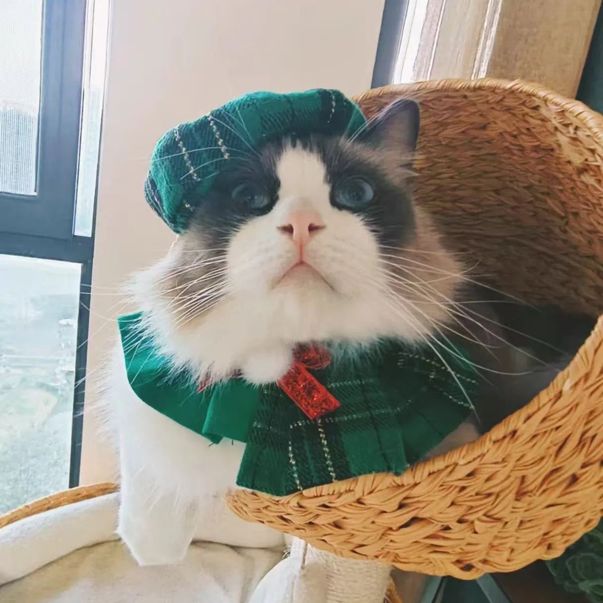 Pet Christmas Cat Dog Octagonal Hat Cute Plaid Shawl Dog Collar Bib Set Pet Decoration Dog Accessories for Small Dogs Puppy