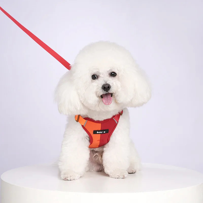 Dog Harness Leash Set Reflective Adjustable Pet Chest Strap Small Medium Dog Puppy Colorful Harness Cat Collars Dog Accessories