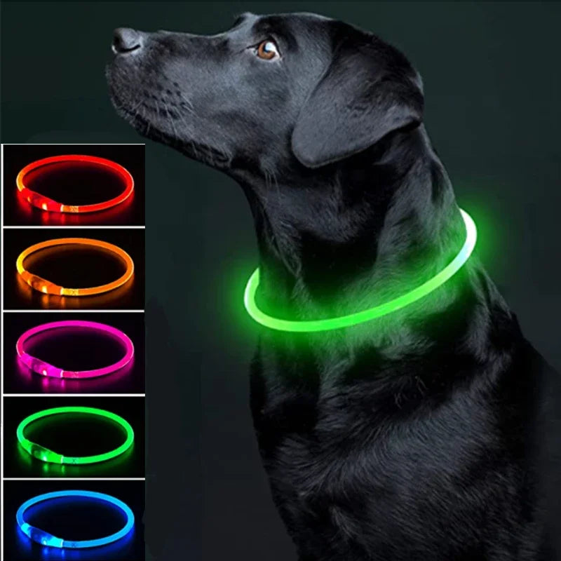LED Pet Dog Luminous Collar With USB Rechargeable Dog Necklace Collar Teddy Anti Lost Collar Dog Cat Accessories Supplies