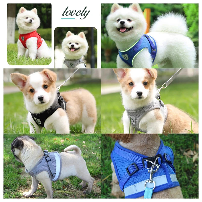 Pet Dog Vest Harness and Leash Set Adjustable Mesh Dog Harness Cat Supplies Leash Harnesses Puppy Bulldog Corgi Dog Accessories