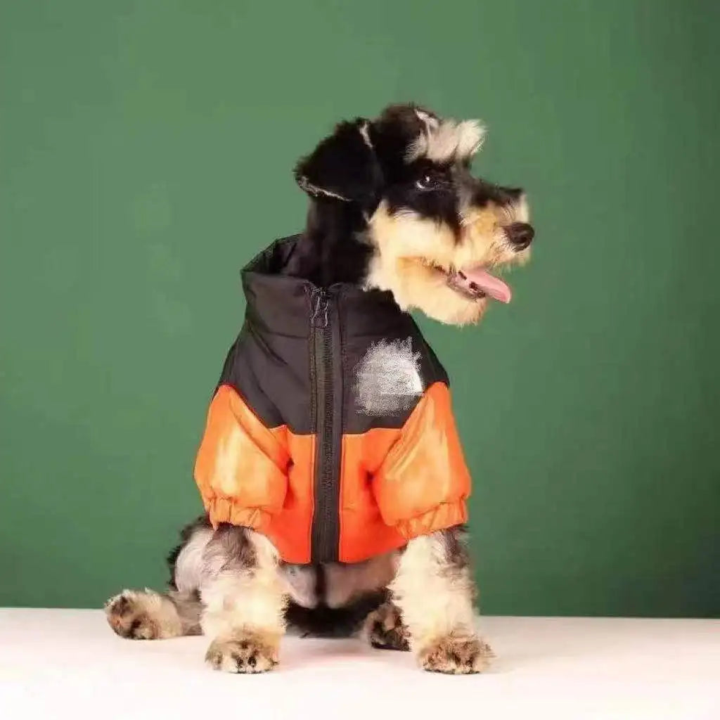 Pet Dog Accessories Dogs Winter Clothes Small Breeds Soft Medium Luxury Clothing Cute York Pets Acessorios Dachshund Dress Goods