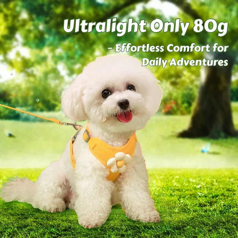 Macaron Breathable Soft Dog Harness – Adjustable Vest-Style Dog Harness and Leash Set Dog Accessories for Small Dogs Walking