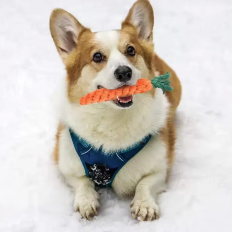 1pc Pet Knot Toy for Dog and Cat Carrot Shape Dog Chew Toys Cotton Rope Toys for Indoor Dogs Cat Toys Dog Accessories