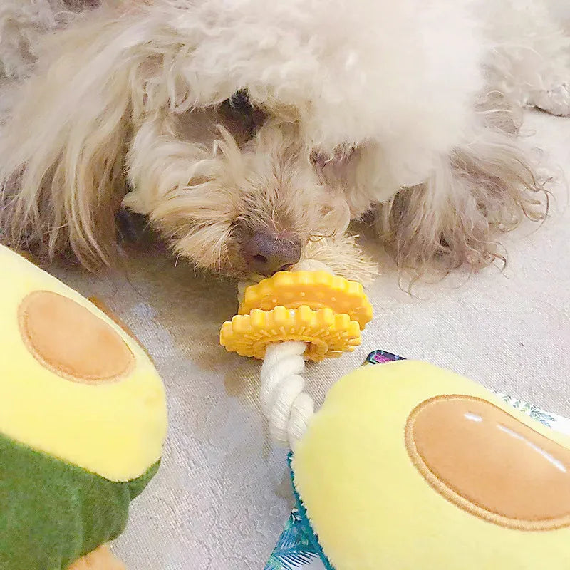 Pet Toys Sound Plush Toys Cute Plants Avocado Series Pet Molars Interactive Toys Cat and Dog Toys Bite Resistant