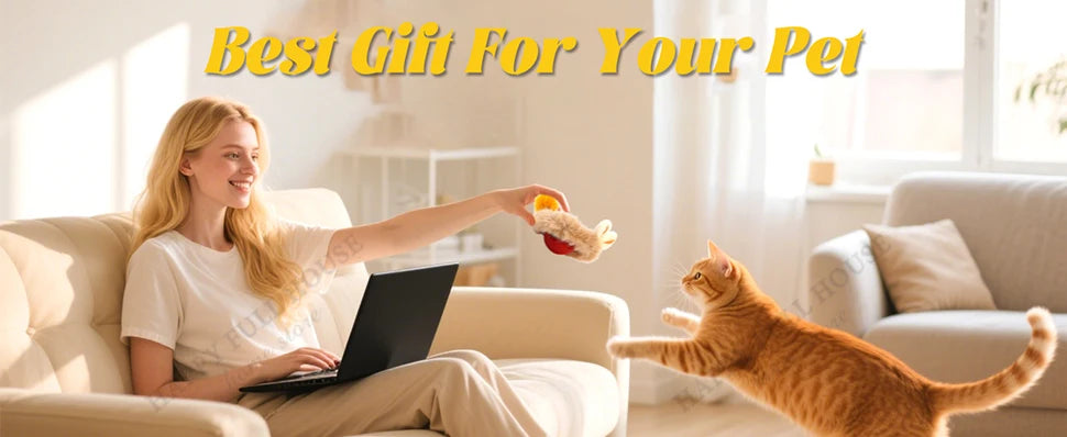 3 in 1 Cat Toy Interactive Ball for Indoor Cat  Game Toys, Cat Toys Electric, Automatic Cat Toy, Cat Toys Moving