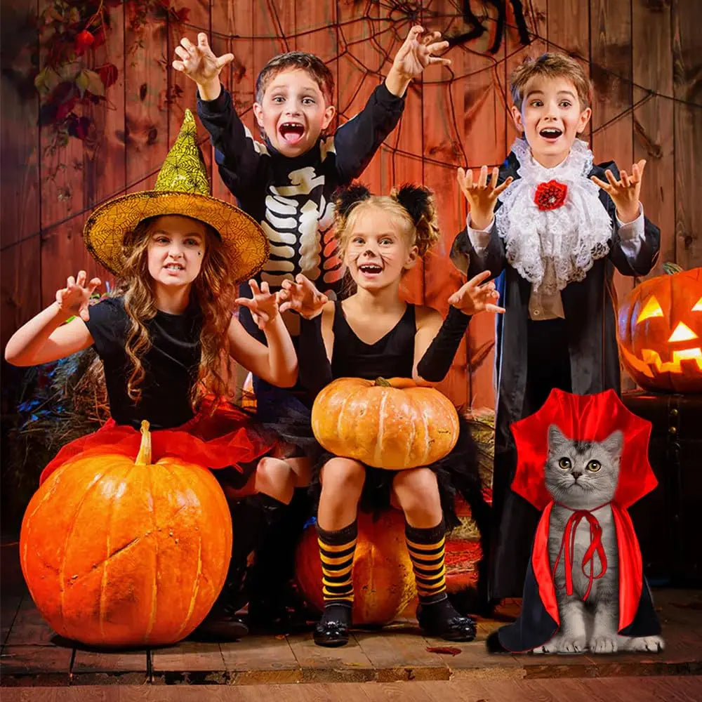 Cute Halloween Pet Costumes Cosplay Vampire Cloak For Small Dog Cat Kitten Puppy Dress Kawaii Pet Clothes Cat Accessories Gift