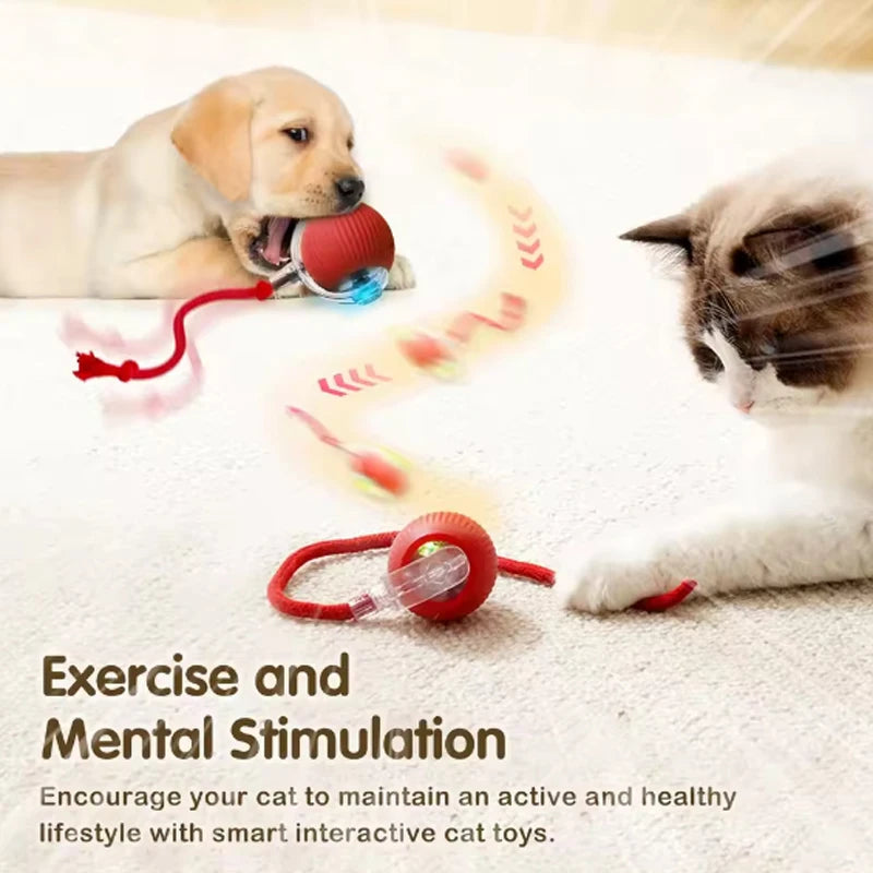 Self-satisfied cat toys that can be bitten by long-lasting smart cat balls automatically avoid pets with ropes and jump balls