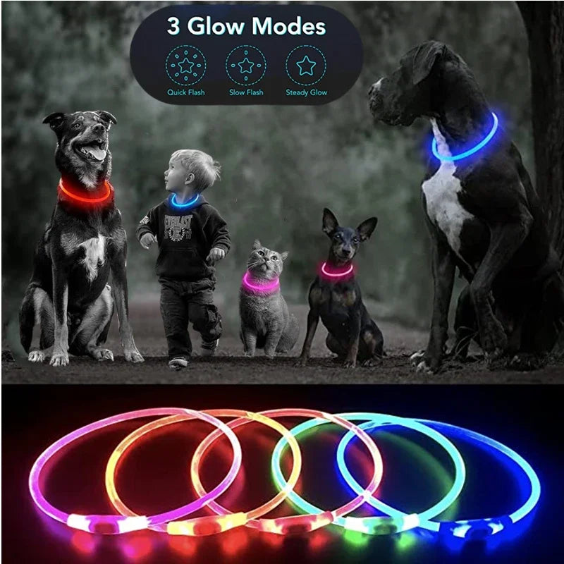 LED Pet Dog Luminous Collar With USB Rechargeable Dog Necklace Collar Teddy Anti Lost Collar Dog Cat Accessories Supplies