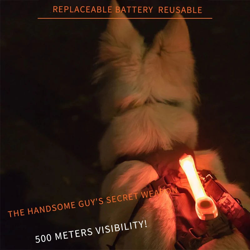 Anti Dog Lost Safety Glowing Collar LED Light Strip Suitable Pet Leash Harness Dog Accessories Outdoor Night Safety Warning